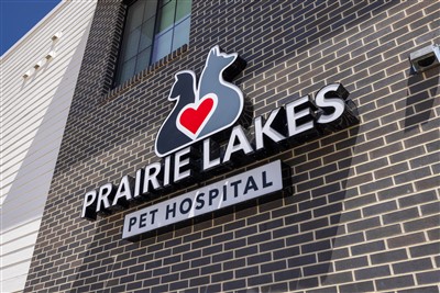 Caring veterinary staff at Ankeny animal hospital